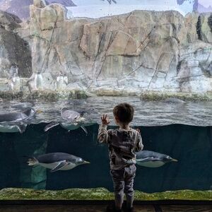 Meet your Posher, Winny